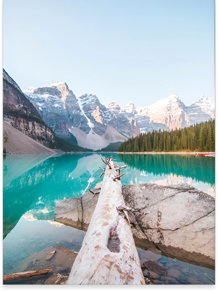 A log in the water near some mountains