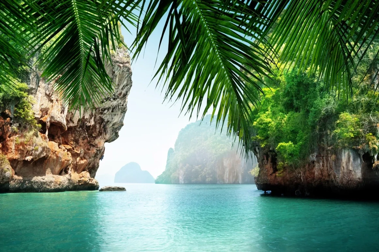 A view of the ocean from under palm trees.