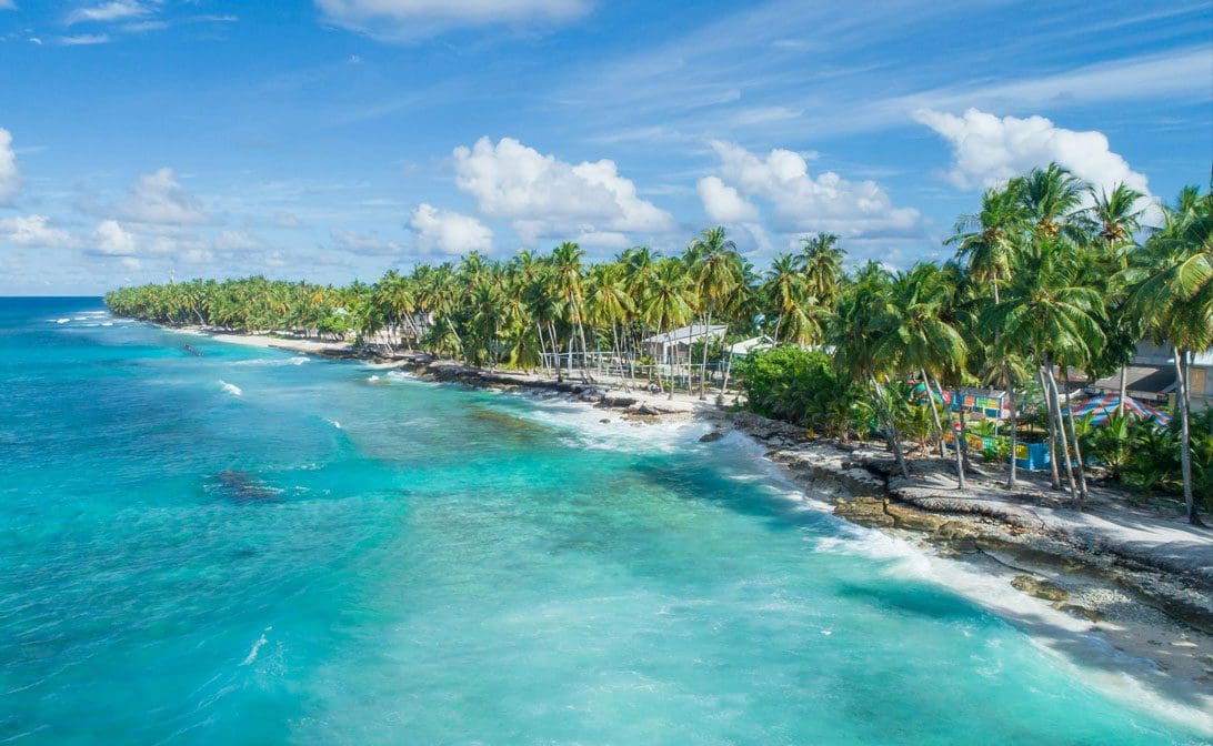 A beach with palm trees and blue water