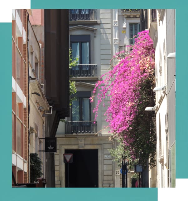 A street with buildings and flowers on the side.