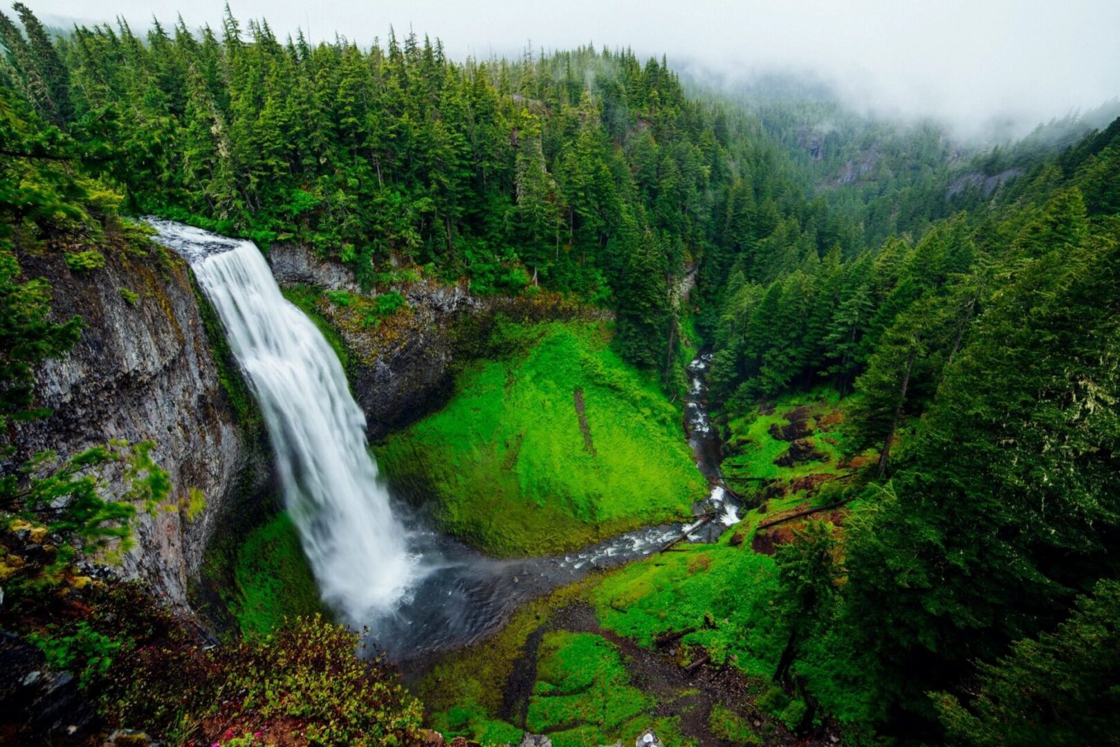 A waterfall in the middle of a lush green forest.